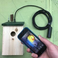 a person holding a cell phone next to a birdhouse and power cord on a table