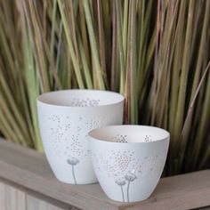 two white vases sitting on top of a wooden shelf next to tall grass and plants