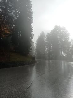 an empty street with trees in the background on a foggy day