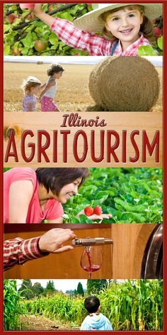 the cover of a book with pictures of children and farm equipment in it, including straw bales