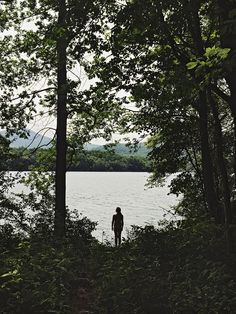 a person standing in the middle of a forest looking out over a body of water