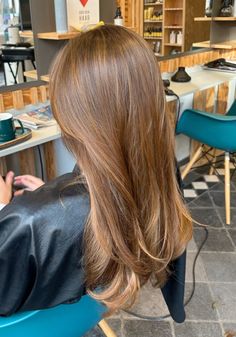 Auburn Hair With Honey Highlights, Straight Honey Brown Hair, Warm Brown Hair With Red Undertone, Carmel Brunette With Honey Highlights, Ginger W Highlights, Light Auburn Brown Hair With Highlights, Light Red Brunette Hair, Caramel Coloured Hair, Light Brown Hair With Auburn Lowlights