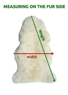 a stuffed animal that is measuring on the fur side with a green line going through it