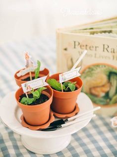 small potted plants are sitting on a plate next to a book and utensils