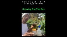 an image of a man that is holding something in his hand with the caption growing out the box