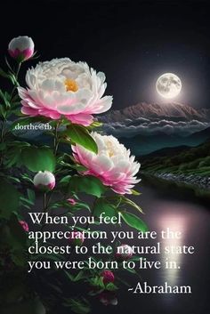 flowers with the moon in the background and a quote on it that says, when you feel