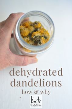 a hand holding a jar filled with dried dandelions