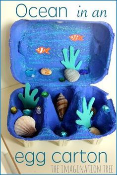 an egg carton filled with sea animals and seashells