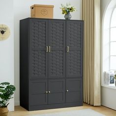 a tall black cabinet with two doors in a living room next to a potted plant