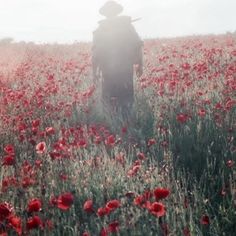 a person standing in a field of red flowers