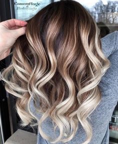 Root Blend, Hair Pigment, Grey Blending, Wooden Closet, Hair 101, Hair Color Shades, Schwarzkopf Professional, Brown Hair Balayage, Ombré Hair