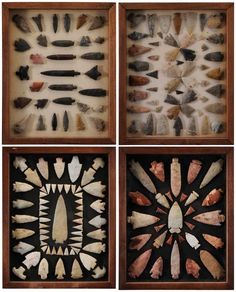 four different types of fossil in wooden boxes