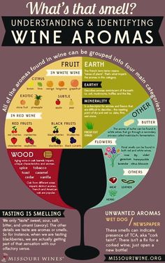 what's that smell? understand and identify wine aromas infographical poster