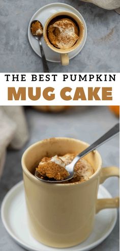 Easy Single Serve Pumpkin Mug Cake + VIDEO - Lifestyle of a Foodie Mug Cake Video, Microwave Pumpkin, Pumpkin Mug Cake Recipe, Pumpkin Mug Cake, Lifestyle Of A Foodie, Batch Recipes, Mug Cake Recipe, Cake Video, Single Serve Desserts