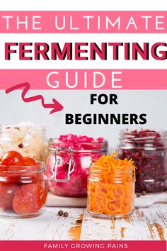 the ultimate fermenting guide for beginners