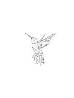 a black and white drawing of a hummingbird flying in the air with its wings spread