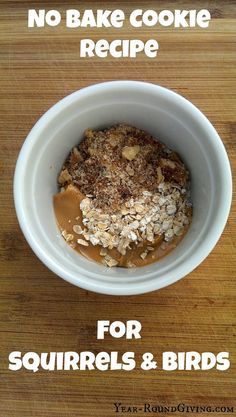 no bake cookie recipe for squirrels and birds in a white bowl on a wooden table