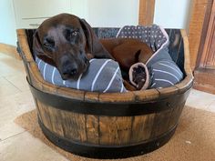 a dog laying in a wooden barrel bed with his head resting on the pillow and blanket