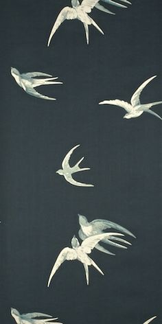 white birds flying in the sky on a black background with blue and white colors,