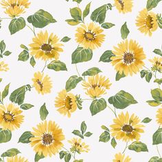 yellow sunflowers with green leaves on a white background seamless wallpaper pattern