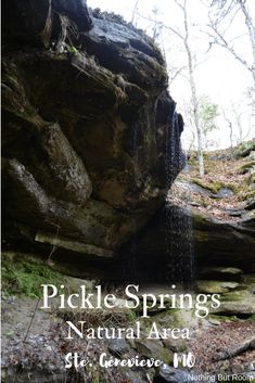 the cover of pickles springs natural area