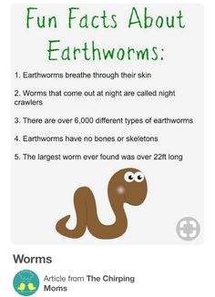 an info sheet with information about earthworms and other things to know about them