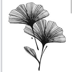 two black and white flowers are shown on a white background, one is drawn by hand