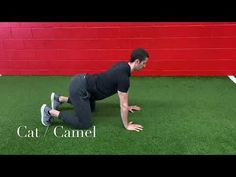 a man in black shirt doing push ups on green grass with red wall behind him