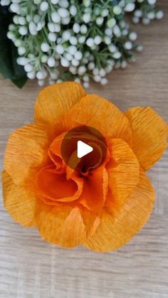 an orange flower sitting on top of a wooden table