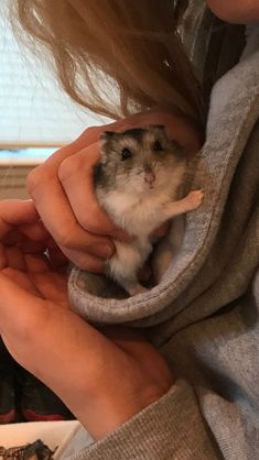 a woman holding a small hamster in her hands