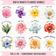 the birth month flowers bundle is shown