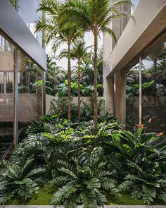 an indoor garden with palm trees and other tropical plants in the center, surrounded by concrete walls