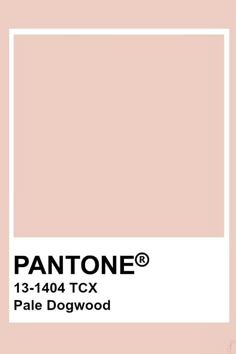 the pantone color is pale pink and has a white rectangle on top of it