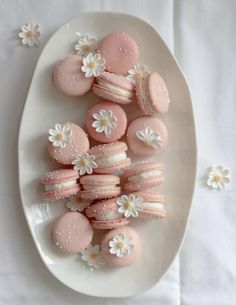 a white plate topped with pink and white macaroons