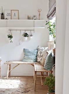 a white room with some plants hanging on the wall