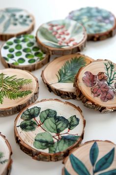 several pieces of wood with painted leaves and berries on them are arranged in a circle