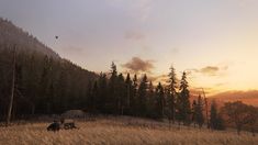 an old truck is parked in the middle of a field with tall grass and trees