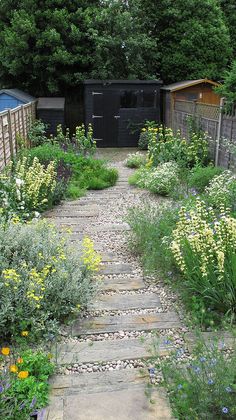 a garden with lots of plants and flowers