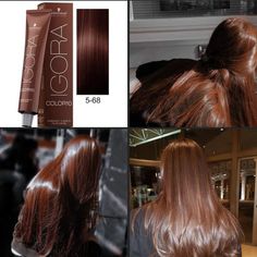 Brown Hair Looks, Hair Color Formulas, Ginger Hair Color, Blonde Hairstyles, Different Hair Colors, Hairstyles For Layered Hair, Hair Color Auburn, Different Hair