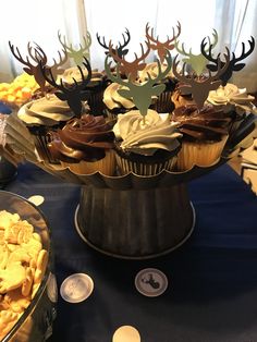 cupcakes with deer heads on them are displayed in front of other desserts