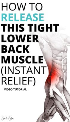 lower back exercises pain sciatic nerve sciatica relief Ql Muscle, Quadratus Lumborum, Lower Back Pain Remedies, Mid Back Pain, Back Muscle, Back Relief, Pain Relief Remedies, Lower Back Muscles, Back Stretches For Pain