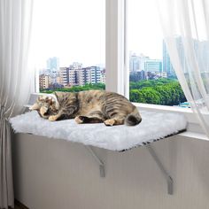 a cat laying on top of a window sill in front of a city view