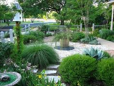 a garden with lots of green plants and flowers