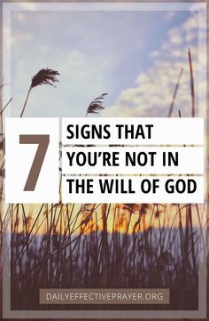 tall grass with the words 7 signs that you're not in the will of god