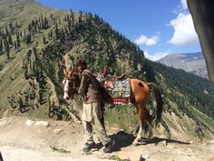 a man standing next to a brown horse on top of a mountain covered in trees