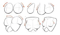 how to draw an elephant's head with different angles and shapes, including the tail