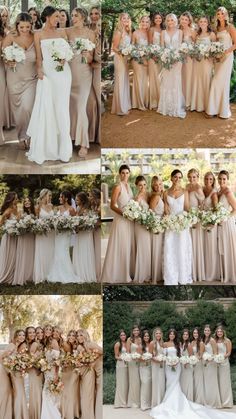 the bridesmaids are all dressed in different styles and colors, including champagne colored gowns