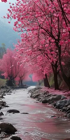 a river with rocks and pink trees in the background