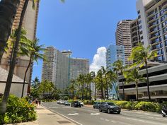 cars driving down the street in front of tall buildings and palm trees on both sides