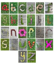 many different types of letters and numbers made out of flowers on the grass, including one for each letter